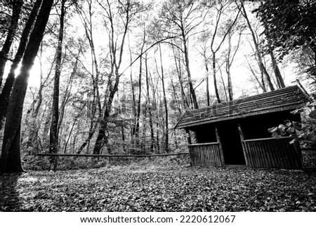 Old wooden hut ruins in foggy wood, spooky landscape. Abstract horror background, evil woods and abandon building with shadows. Creepy wooden shack with tall dark trees Halloween design concept Royalty-Free Stock Photo #2220612067