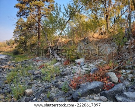 A pretty picture of the river aide with trees , rocks, water and blue sky