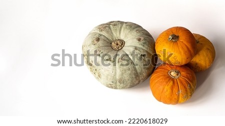 Still life with vibrant pumpkins. Thanksgiving or autumn background.