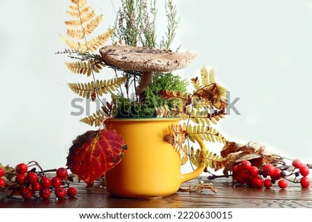  Umbrella mushroom with heather and fern branches, aspen leaf in a yellow cup on a wooden table on a light background, viburnum branches nearby