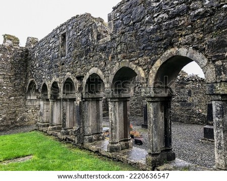 Cloister garth surrounded by the cloister arcade inside Kilconnell Abbey, a ruined medieval Franciscan friary in Kilconnell, Galway county, Connacht, Ireland Royalty-Free Stock Photo #2220636547