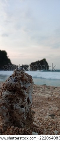 beautiful rock on the beach