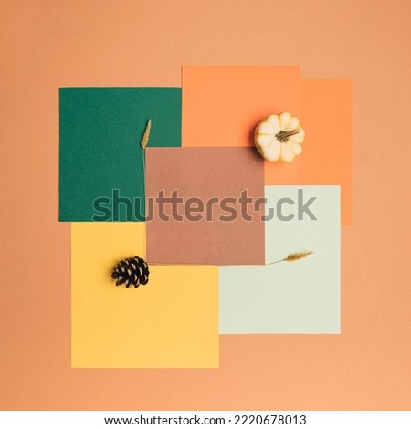 Colorful autumn concept made with wheat, pumpkin, pine cone on orange background with colorful copy space. Minimal fall concept. Creative natural idea for thanksgiving.