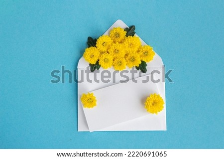 Envelope with flowers. Beautiful flowers in a mail envelope on a white background. greeting card for the holiday. Yellow-blue colors. copy space