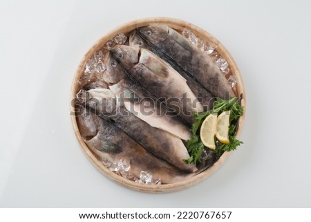 It is a haeseong (寒海性) fish species, with a body length of about 45 cm, similar to that of a mouse songbird. The body color has five rows of dark brown vertical bands on a yellow background.