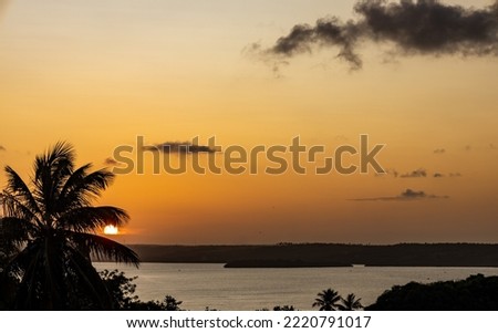 Sunset on a heavenly beach. Silhouette of palm trees is silhouetted against the solar disk in the golden hour.