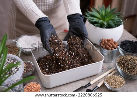 soil substrate preparation for transplanting houseplants on concrete background Royalty-Free Stock Photo #2220806525
