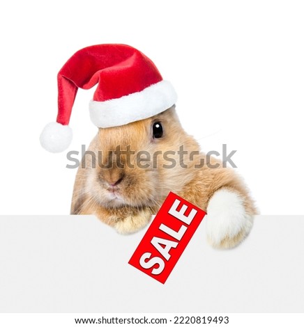 Rabbit wearing red santa hat looking over empty white banner and showing signboard with labeled "sale". Isolated on white background