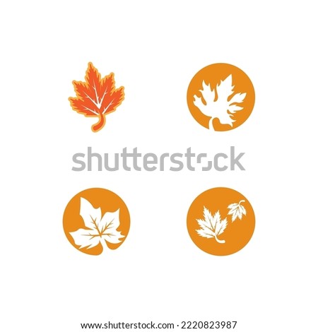 Autumn Vector Leaves  Vector Art And Graphics