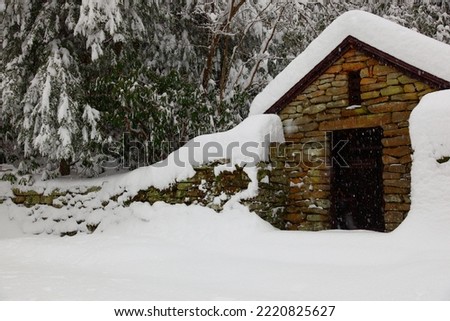 House in the middle of snowy forest