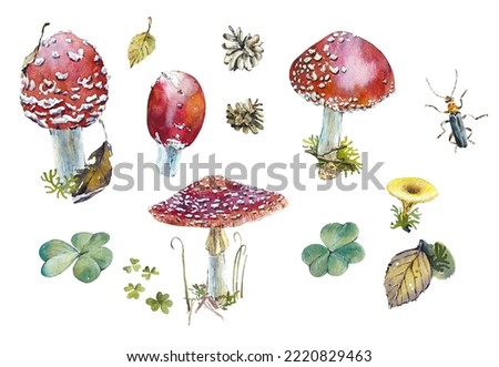 Fly agaric. Forest set. Watercolor hand drawn illustration