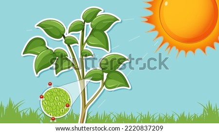 Sun shines to plant thumbnail design illustration