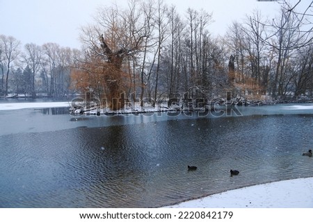 Winter landscape at Lake Orankesee in Berlin - Germany