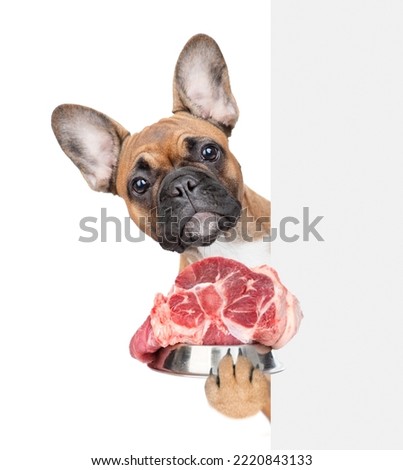 Funny french bulldog puppy holding bowl of raw meat food behind empty white banner. isolated on white background