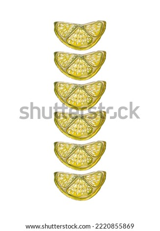 Half a slice of lemon. Watercolor isolated illustration on white background