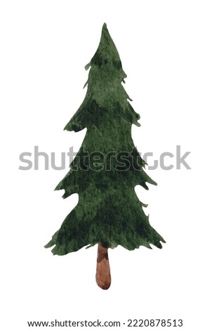 Christmas tree watercolor, spruce for the new year, on a white background for design
