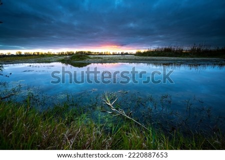 The Vistula River after sunset, coastal grass in the water, dusk