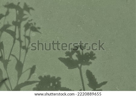 Abstract flowers shadows on gray green concrete wall texture with roughness and irregularities. Abstract trendy nature concept background. Copy space for text overlay, poster mockup flat lay 