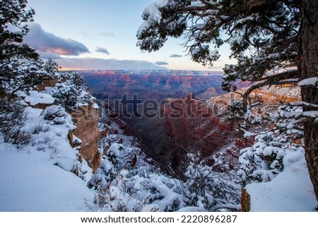 Winter landscape in Grand Canyon National Park, United States Of America Royalty-Free Stock Photo #2220896287
