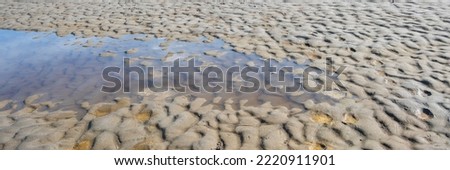 Dry lagoon soil with wavy sand, granular forms and a bit of sea water