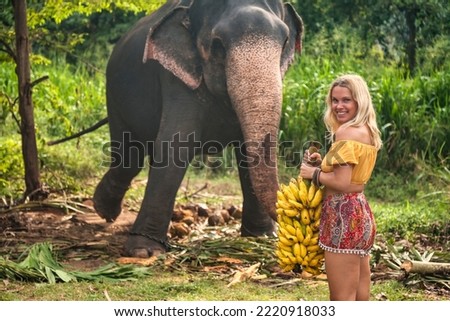 Happy smiling woman feeding an elephant bananas in countryside Sri Lanka, looking at camera. Lady tourist holding bananas in hands posing at elephant background. Travel vacation concept. Copy space