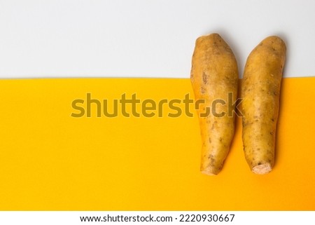 Raw sweet potato isolated on white and yellow background
