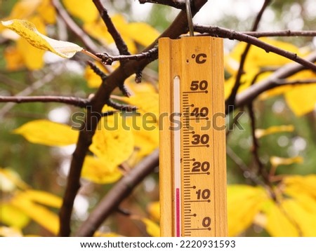 Isolated Thermometer making 15 degrees celsius temperature in Autumn season . Yellow tree leaves Nature green brown forest background. Cold weather concept in Hungary , Europe. Global climate change