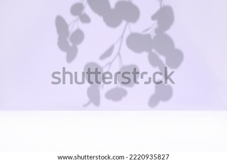 Plant shadows on violet color wall. Leaves shadow background. Branches, flowers and foliage on pastel studio background. Product presentation, Minimal mock up for advertising. Trendy Overlay effect.