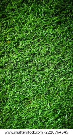vertical photo of green grass background with blur overlay