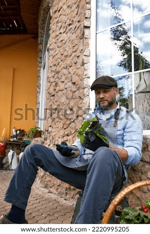 Portrait of handsome gardener wearing hat holds lettuce leaves. Organic gardening. The concept of harvesting and local farming.