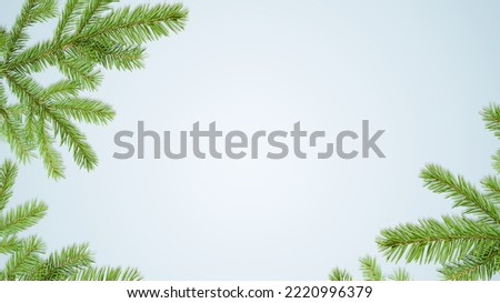 background of fir branches on a light gray background, top view Royalty-Free Stock Photo #2220996379