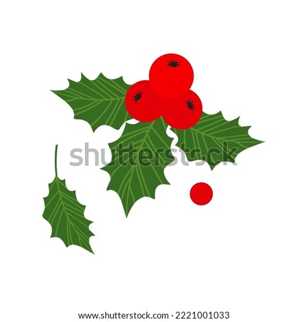 Christmas holly berry vector icon, mistletoe and leaf, ilex branch, cartoon xmas plant isolated on white background. Holiday illustration