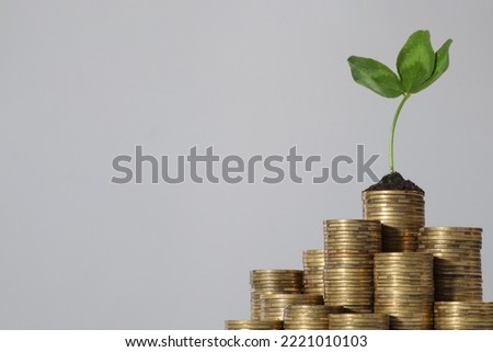 Stacks of coins with green sprout against light grey background, space for text. Investment concept