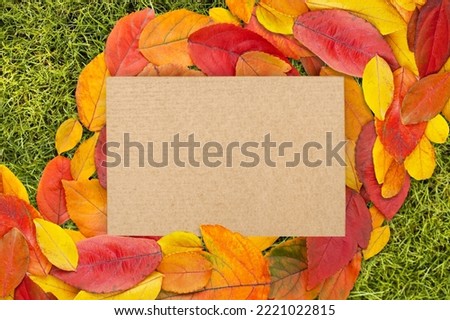 Beautiful nature composition with dry leaves and card
