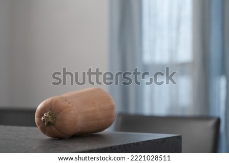 Whole butternut squah on concrete countertop Royalty-Free Stock Photo #2221028511