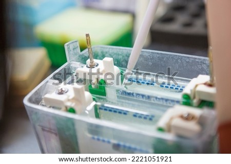 Western blot analysis use as protein analysis for protein detection. This technique use in medical or research laboratory. Also, the method detect HIV infection and cancer biology. Royalty-Free Stock Photo #2221051921