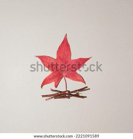 Maple leaf and rwings in shape of camp fire on grey background. Flat lay.
