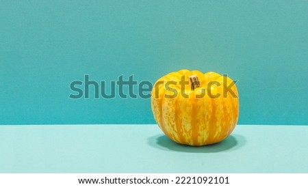 Yellow pumpkin on a blue background 