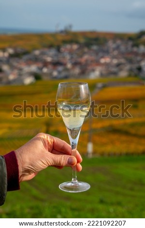 Tasting of brut champagne sparkling wine outdoor with view on colorful autumn pinot noir grand cru vineyards of famous champagne houses in Montagne de Reims near Verzenay, Champagne, France