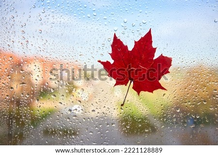 Rainy autumn day. The window is all in drops. Orange leaf on a wet window. Autumn background. Royalty-Free Stock Photo #2221128889