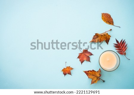 Knitted scarf, mug of hot tea and fall leaves