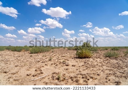 Blue sky over vast steppe desert flat with low sagebrush (Artemisia arbuscula) grass Royalty-Free Stock Photo #2221133433