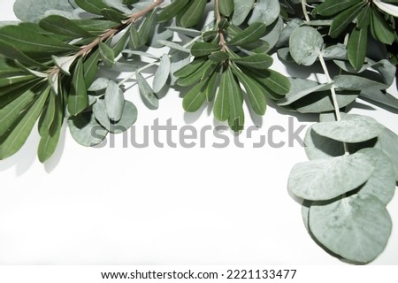 Green leaves isolated on white background. Flatlay.