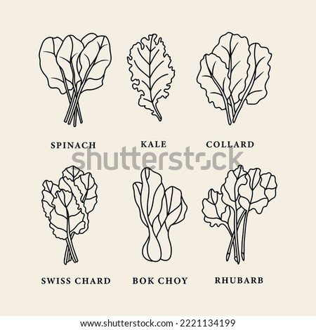 Collection of line art leafy greens Royalty-Free Stock Photo #2221134199