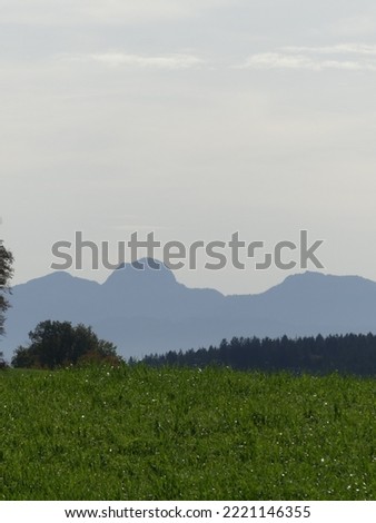 Lush green landscape with trees infront of an alpine mountain background.