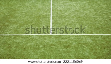 Classic soccer sport field with grass