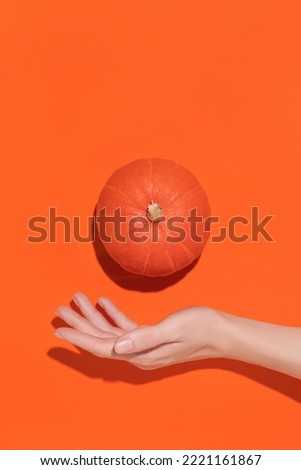 Small decorative pumpkin in women’s hand on orange background. High quality photo