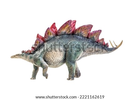 dinosaur , Stegosaurus isolated background 