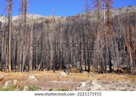 Caldor Wildfire Devastation along highway 50 above Lake Tahoe in 2021 Royalty-Free Stock Photo #2221171915