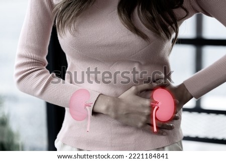 woman suffering stress and her touching on virtual kidney shape, chronic kidney disease, renal failure, dialysis, Healthy feminine concept. Royalty-Free Stock Photo #2221184841